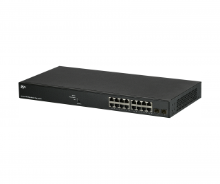 RVi-2NSXM16G-2S фото