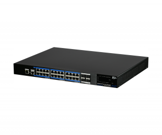 RVi-2NSM24G-4S фото