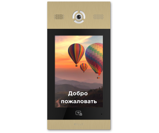 BAS-IP AA-14FB GOLD фото
