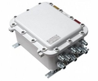 Tfortis PSW-1G 4F Ex фото Tfortis PSW-1G 4F Ex фото