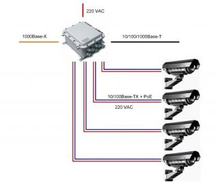 Tfortis PSW-1G 4F Ex фото Tfortis PSW-1G 4F Ex фото